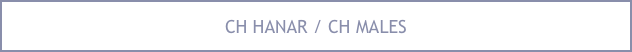 CH HANAR / CH MALES